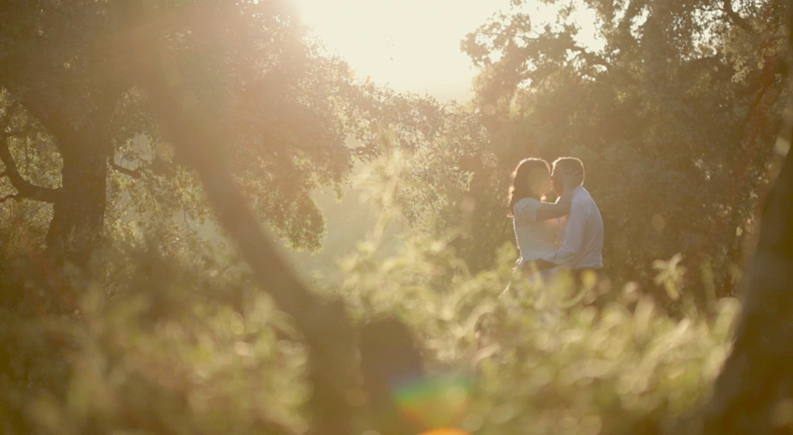 Pareja de recién casado dándose un beso en el bosque.